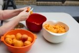 12 Must-Have Home Essentials That Make Everyday Life Easier